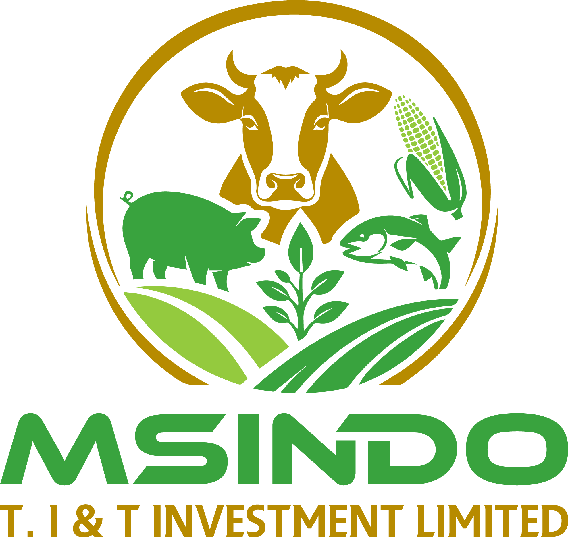 MSINDO T. I & T INVESTMENT LIMITED